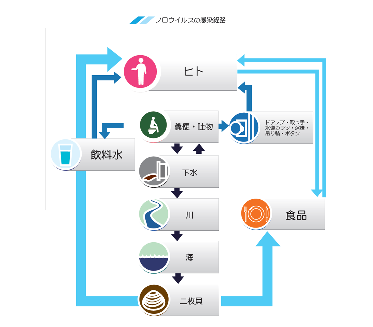 ノロウイルスの感染経路