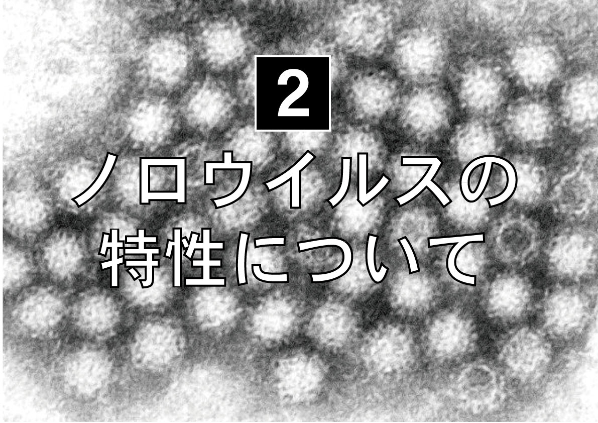 ノロウイルスのシーズン到来