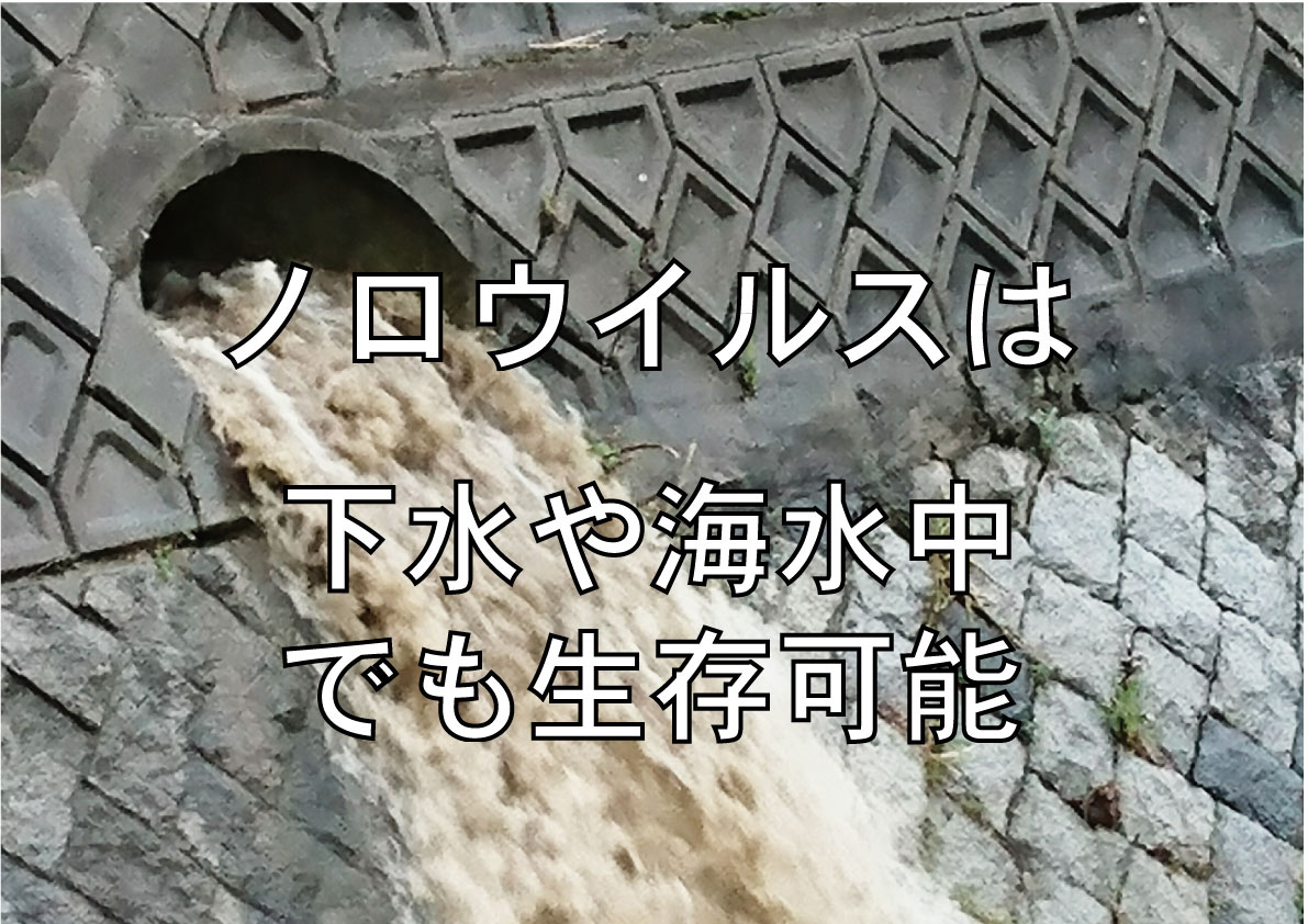 ノロウイルスのシーズン到来