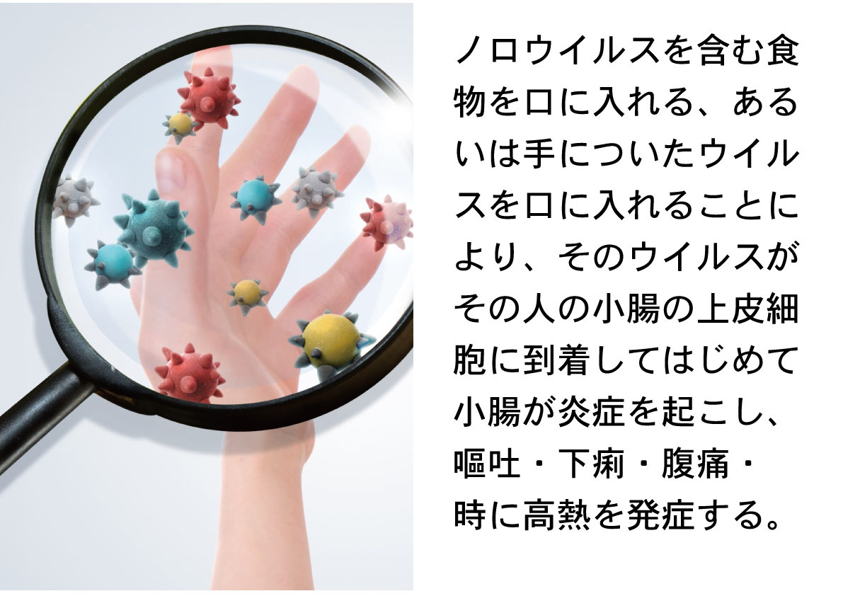 ノロウイルスのシーズン到来