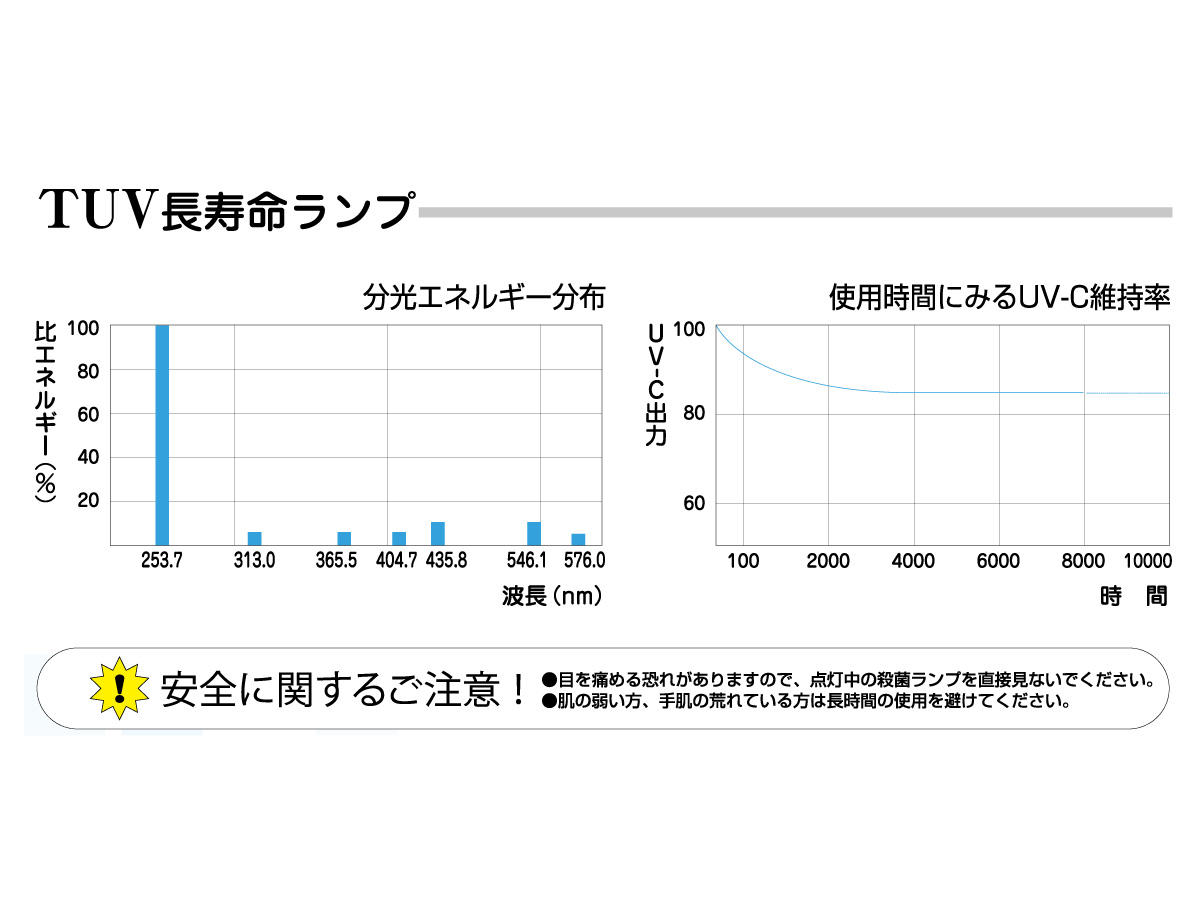 ノロウイルスは糞便から口への糞口感染を繰り返す
